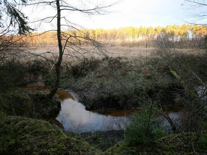 Maakond: Tartumaa Veekogu nimi: Piigandi oja Pildistamise aeg: 20. jaanuar 2008 Pildistaja: H. Timm Pildistamise koht: keskjooks Asimuut: