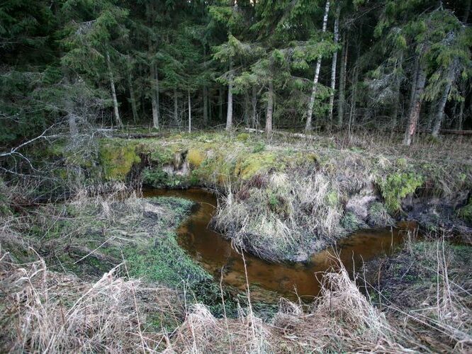 Maakond: Tartumaa Veekogu nimi: Piigandi oja Pildistamise aeg: 20. jaanuar 2008 Pildistaja: H. Timm Pildistamise koht: keskjooks Asimuut: