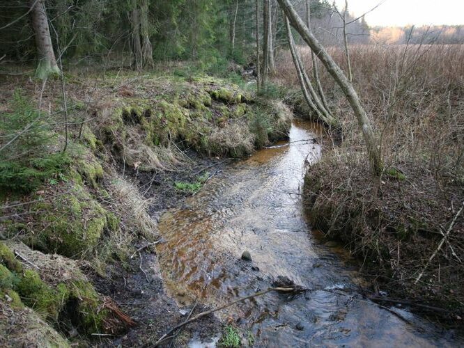 Maakond: Tartumaa Veekogu nimi: Piigandi oja Pildistamise aeg: 20. jaanuar 2008 Pildistaja: H. Timm Pildistamise koht: keskjooks Asimuut: