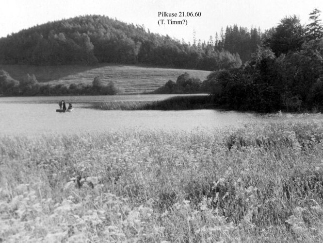 Maakond: Valgamaa Veekogu nimi: Pilkuse järv Pildistamise aeg: 21. juuni 1960 Pildistaja: T. Timm Pildistamise koht: NE kaldalt Asimuut: WNW