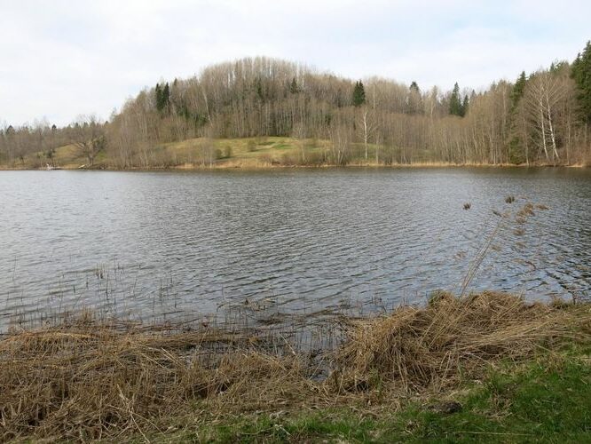 Maakond: Valgamaa Veekogu nimi: Pilkuse järv Pildistamise aeg: 7. mai 2013 Pildistaja: H. Timm Pildistamise koht: teadmata Asimuut: