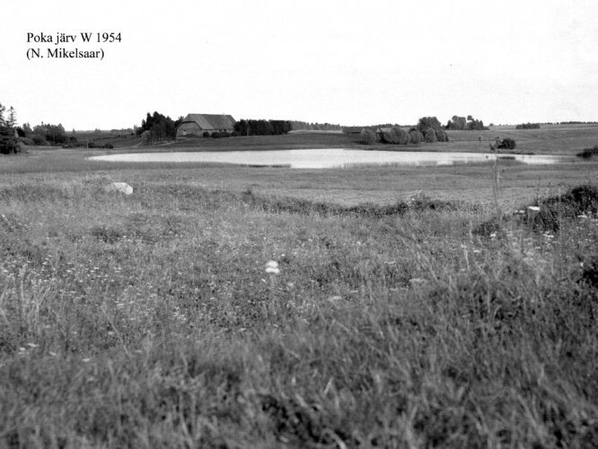 Maakond: Tartumaa Veekogu nimi: Poka järv Pildistamise aeg: 1954 Pildistaja: N. Mikelsaar Pildistamise koht: W kaldalt Asimuut: