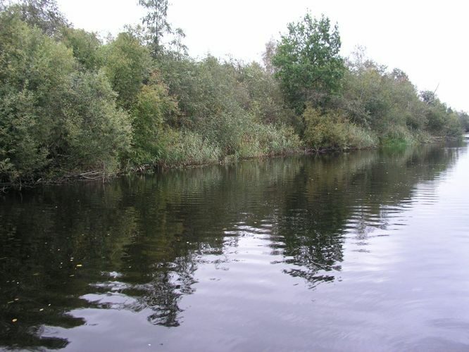 Maakond: Tartumaa Veekogu nimi: Põltsamaa jõgi Pildistamise aeg: 16. september 2003 Pildistaja: H. Timm Pildistamise koht: enne Emajõge Asimuut: