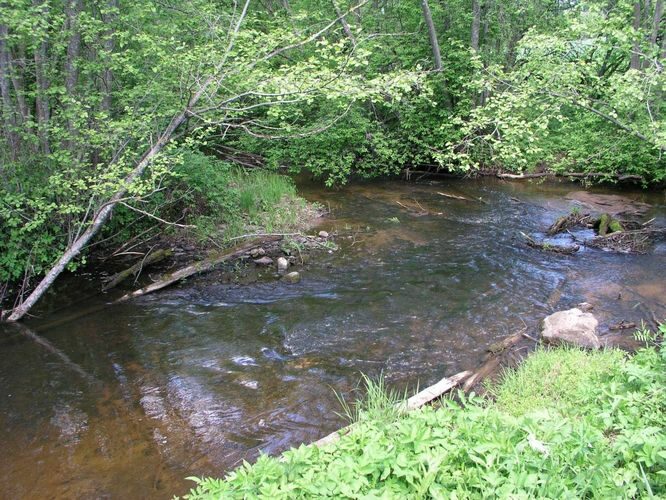 Maakond: Tartumaa Veekogu nimi: Porijõgi Pildistamise aeg: 26. mai 2004 Pildistaja: H. Timm Pildistamise koht: Sirvaku Asimuut: