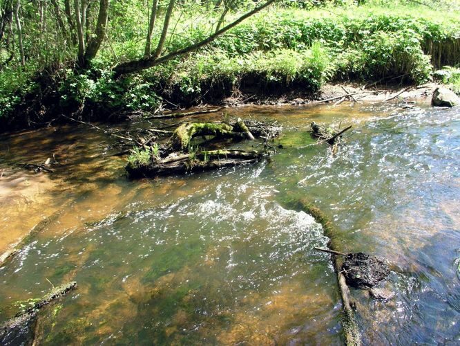 Maakond: Tartumaa Veekogu nimi: Porijõgi Pildistamise aeg: 26. mai 2004 Pildistaja: H. Timm Pildistamise koht: Sirvaku Asimuut: