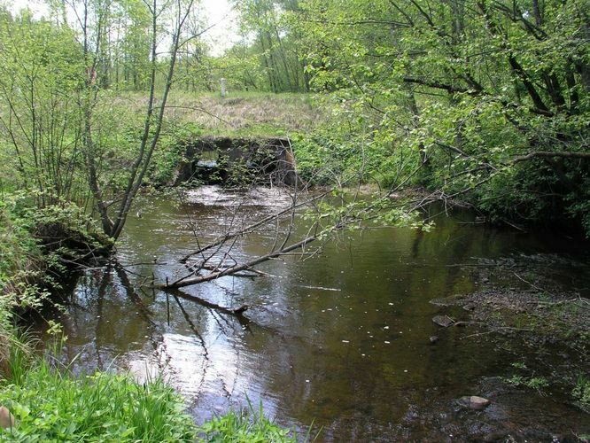 Maakond: Tartumaa Veekogu nimi: Porijõgi Pildistamise aeg: 26. mai 2004 Pildistaja: H. Timm Pildistamise koht: Sirvaku Asimuut: