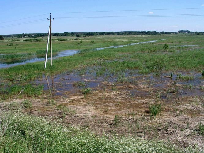 Maakond: Tartumaa Veekogu nimi: Porijõgi Pildistamise aeg: 22. juuni 2005 Pildistaja: H. Timm Pildistamise koht: Aardla sillalt Asimuut: