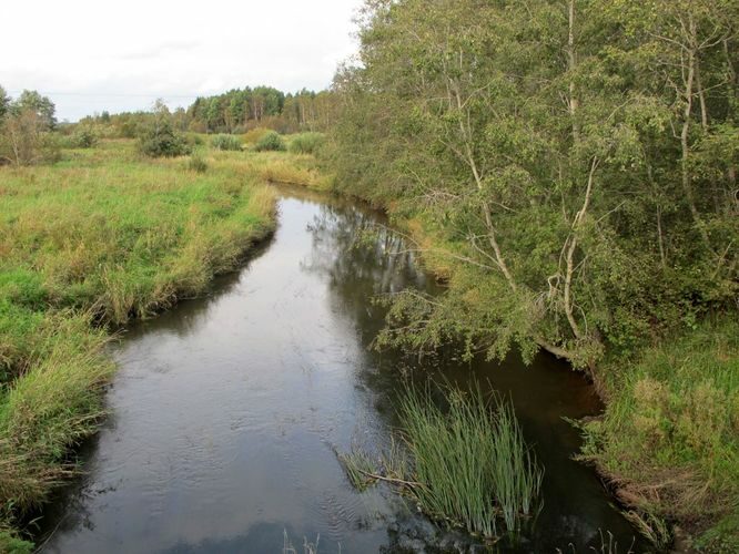 Maakond: Tartumaa Veekogu nimi: Porijõgi Pildistamise aeg: 17. september 2010 Pildistaja: H. Timm Pildistamise koht: Uhti Asimuut: