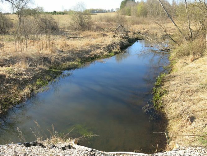 Maakond: Tartumaa Veekogu nimi: Porijõgi Pildistamise aeg: 24. aprill 2014 Pildistaja: H. Timm Pildistamise koht: Lalli - Kambja Asimuut: