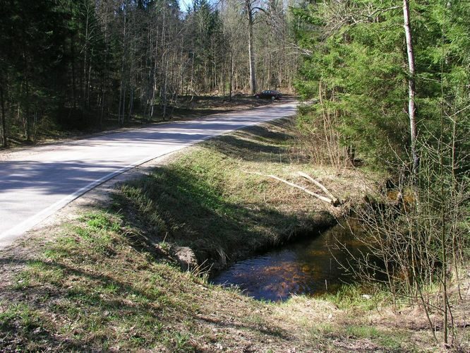 Maakond: Valgamaa Veekogu nimi: Poslavitsa oja Pildistamise aeg: 2. mai 2009 Pildistaja: H. Timm Pildistamise koht: teadmata Asimuut: