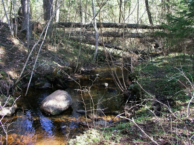 Maakond: Valgamaa Veekogu nimi: Poslavitsa oja Pildistamise aeg: 2. mai 2009 Pildistaja: H. Timm Pildistamise koht: teadmata Asimuut: