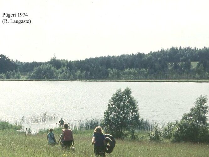 Maakond: Valgamaa Veekogu nimi: Pügeri järv Pildistamise aeg: 1974 Pildistaja: R. Laugaste Pildistamise koht: teadmata Asimuut: