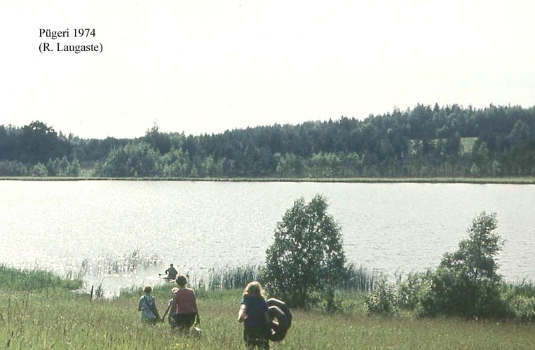 Maakond: Valgamaa Veekogu nimi: Pügeri järv Pildistamise aeg: 1974 Pildistaja: R. Laugaste Pildistamise koht: teadmata Asimuut: