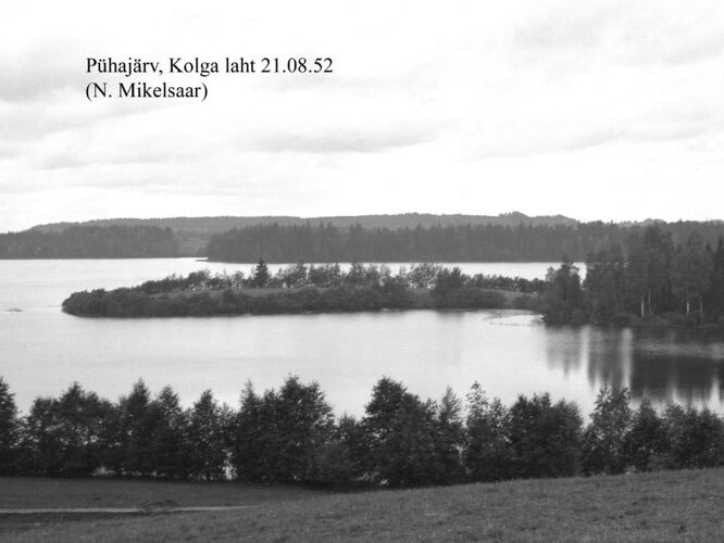 Maakond: Valgamaa Veekogu nimi: Pühajärv Pildistamise aeg: 21. august 1952 Pildistaja: N. Mikelsaar Pildistamise koht: Kolga laht E-st Asimuut: W