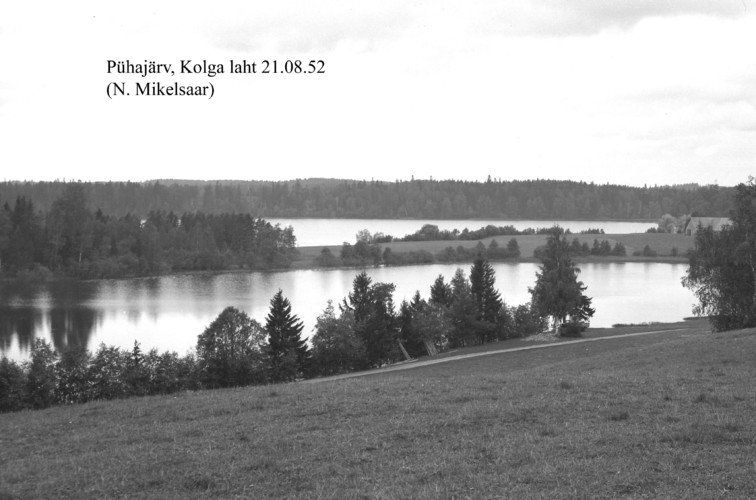 Maakond: Valgamaa Veekogu nimi: Pühajärv Pildistamise aeg: 21. august 1952 Pildistaja: N. Mikelsaar Pildistamise koht: Kolga laht E-st Asimuut: WNW