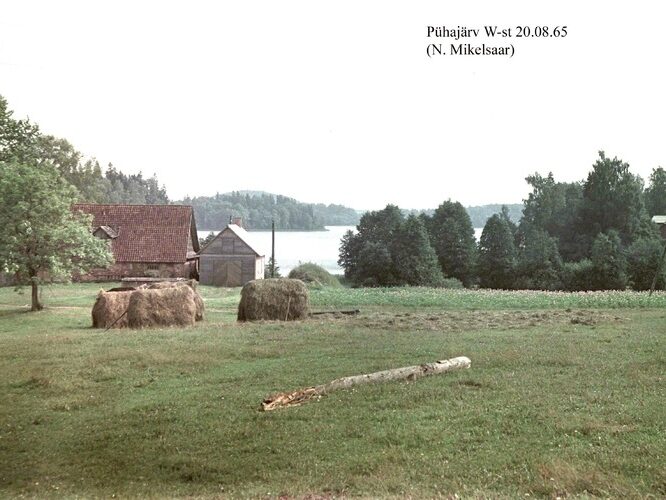 Maakond: Valgamaa Veekogu nimi: Pühajärv Pildistamise aeg: 20. august 1965 Pildistaja: N. Mikelsaar Pildistamise koht: W kaldalt Asimuut: