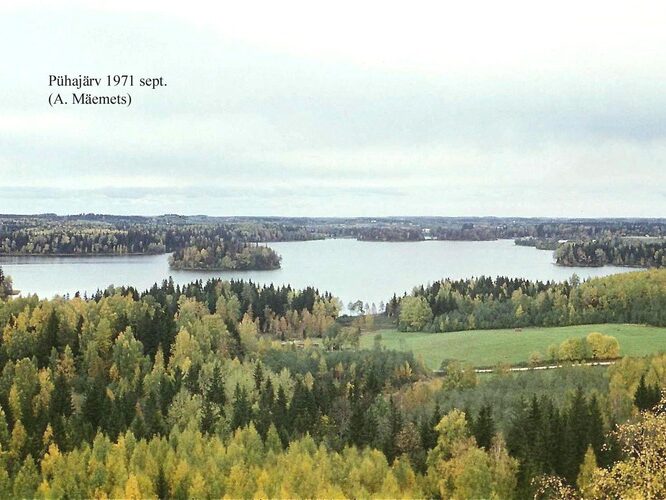 Maakond: Valgamaa Veekogu nimi: Pühajärv Pildistamise aeg: september 1971 Pildistaja: A. Mäemets Pildistamise koht: Hobusem Asimuut: