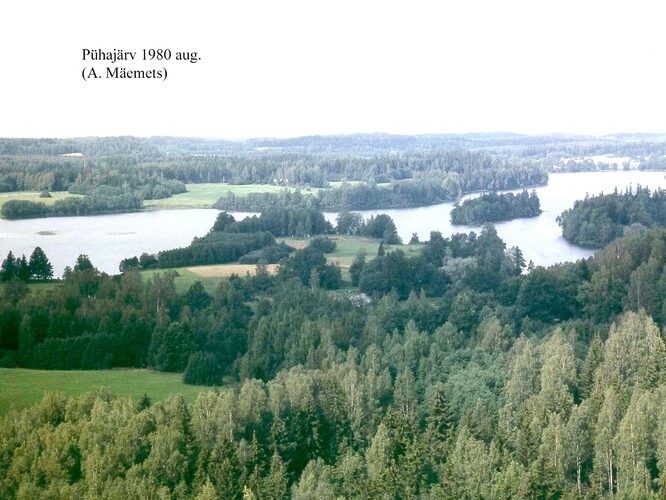 Maakond: Valgamaa Veekogu nimi: Pühajärv Pildistamise aeg: august 1980 Pildistaja: A. Mäemets Pildistamise koht: Hobusem Asimuut: