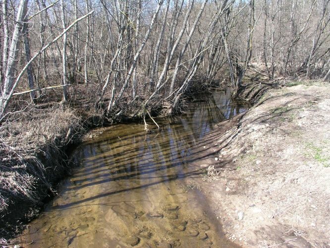 Maakond: Valgamaa Veekogu nimi: Puka oja Pildistamise aeg: 19. aprill 2007 Pildistaja: H. Timm Pildistamise koht: Valga mnt. sillalt Asimuut: