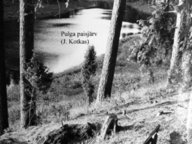 Maakond: Tartumaa Veekogu nimi: Pulga paisjärv Pildistamise aeg: teadmata Pildistaja: J. Kotkas (Eesti Looduse arhiiv) Pildistamise koht: teadmata Asimuut: