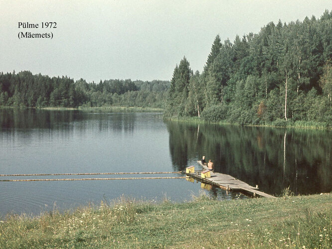 Maakond: Valgamaa Veekogu nimi: Pülme järv Pildistamise aeg: 1972 Pildistaja: A. Mäemets Pildistamise koht: teadmata Asimuut: