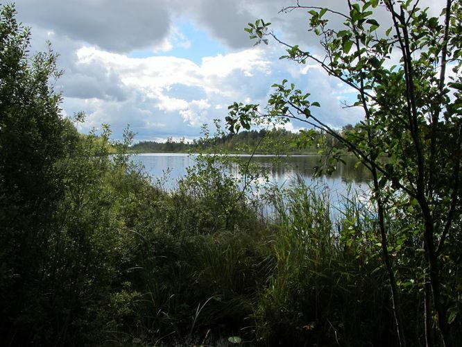 Maakond: Valgamaa Veekogu nimi: Pupsi järv Pildistamise aeg: 4. september 2012 Pildistaja: H. Timm Pildistamise koht: teadmata Asimuut: