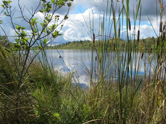 Maakond: Valgamaa Veekogu nimi: Pupsi järv Pildistamise aeg: 4. september 2012 Pildistaja: H. Timm Pildistamise koht: teadmata Asimuut: