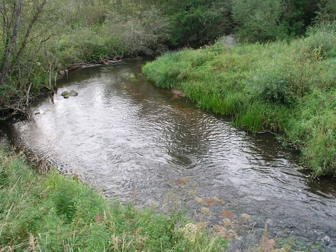 Maakond: Valgamaa Veekogu nimi: Purtsi jõgi Pildistamise aeg: 29. august 2004 Pildistaja: H. Timm Pildistamise koht: Oona Asimuut: