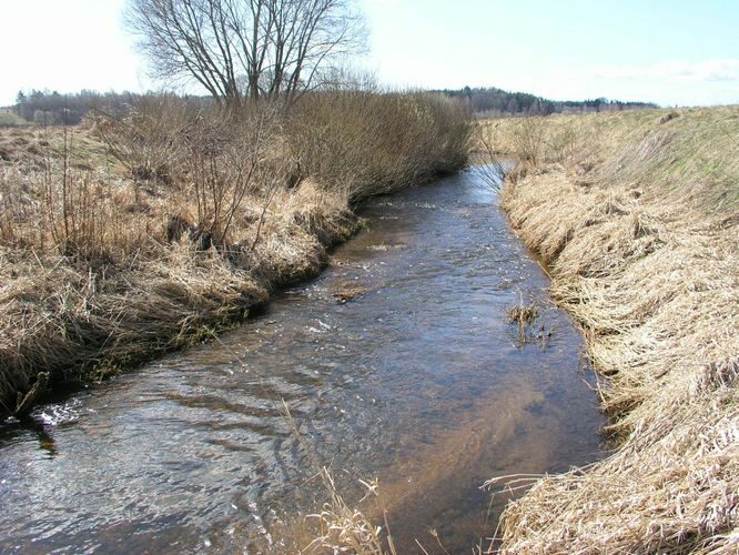 Maakond: Valgamaa Veekogu nimi: Purtsi jõgi Pildistamise aeg: 19. aprill 2007 Pildistaja: H. Timm Pildistamise koht: allpool Põhu paisu Asimuut: