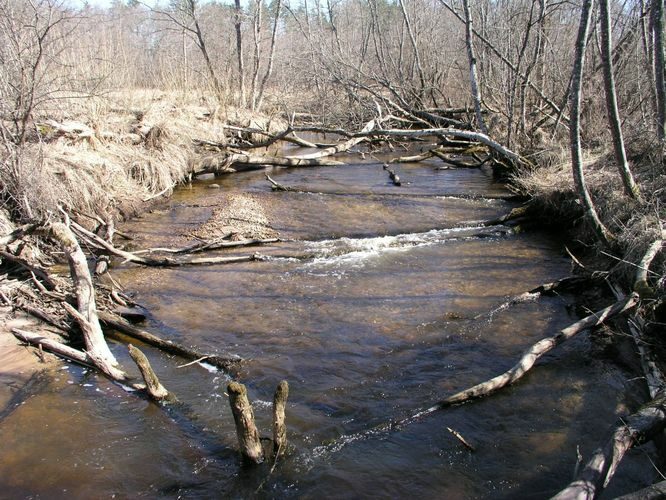 Maakond: Valgamaa Veekogu nimi: Purtsi jõgi Pildistamise aeg: 14. aprill 2007 Pildistaja: H. Timm Pildistamise koht: Oona, ülalpool silda Asimuut: