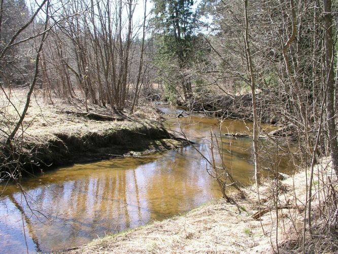 Maakond: Valgamaa Veekogu nimi: Purtsi jõgi Pildistamise aeg: 14. aprill 2007 Pildistaja: H. Timm Pildistamise koht: alamjooks metsatee ääres Asimuut: