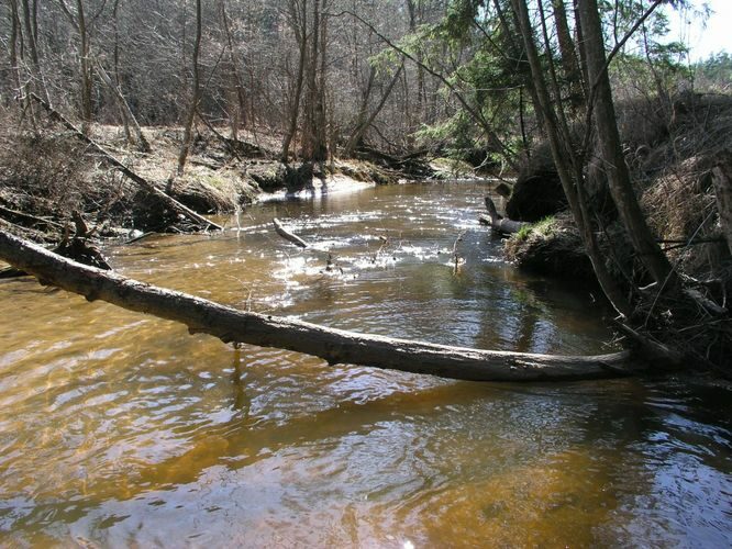 Maakond: Valgamaa Veekogu nimi: Purtsi jõgi Pildistamise aeg: 14. aprill 2007 Pildistaja: H. Timm Pildistamise koht: alamjooks metsatee ääres Asimuut: