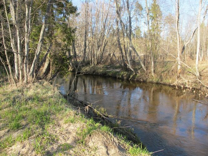 Maakond: Valgamaa Veekogu nimi: Purtsi jõgi Pildistamise aeg: 28. aprill 2010 Pildistaja: H. Timm Pildistamise koht: alamjooks Asimuut: