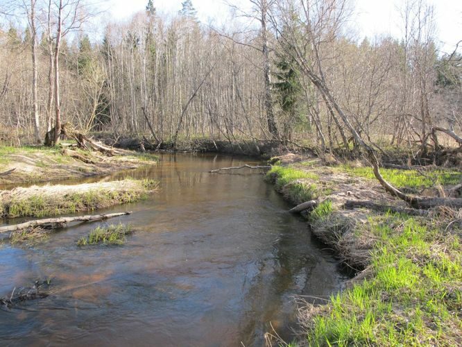 Maakond: Valgamaa Veekogu nimi: Purtsi jõgi Pildistamise aeg: 28. aprill 2010 Pildistaja: H. Timm Pildistamise koht: alamjooks Asimuut: