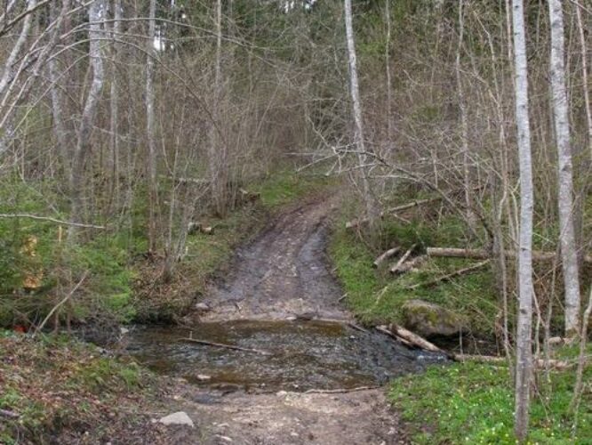 Maakond: Valgamaa Veekogu nimi: Purtsi jõgi Pildistamise aeg: 1. mai 2011 Pildistaja: H. Timm Pildistamise koht: koolmekoht maratoniraja lähedal Asimuut: