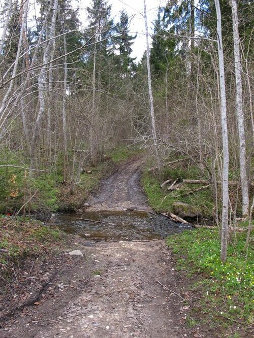 Maakond: Valgamaa Veekogu nimi: Purtsi jõgi Pildistamise aeg: 1. mai 2011 Pildistaja: H. Timm Pildistamise koht: koolmekoht maratoniraja lähedal Asimuut: