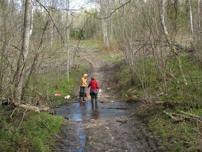 Maakond: Valgamaa Veekogu nimi: Purtsi jõgi Pildistamise aeg: 1. mai 2011 Pildistaja: H. Timm Pildistamise koht: koolmekoht maratoniraja lähedal Asimuut: