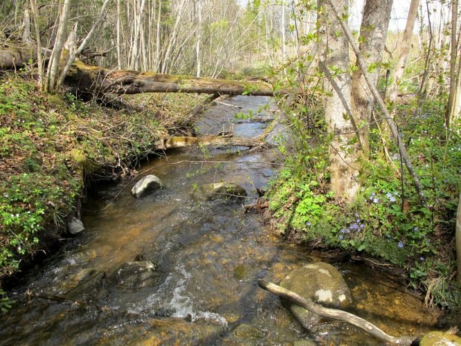 Maakond: Valgamaa Veekogu nimi: Purtsi jõgi Pildistamise aeg: 1. mai 2011 Pildistaja: H. Timm Pildistamise koht: koolmekoht maratoniraja lähedal Asimuut: