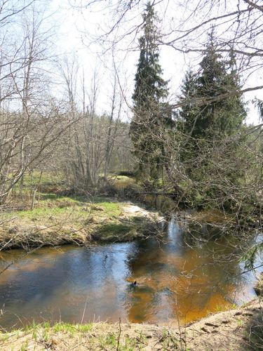 Maakond: Valgamaa Veekogu nimi: Purtsi jõgi Pildistamise aeg: 7. mai 2013 Pildistaja: H. Timm Pildistamise koht: Pikasilla - Puka tee ääres Asimuut: