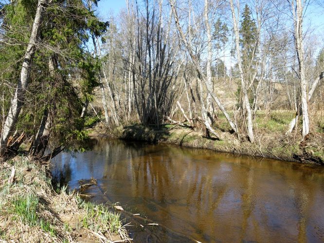 Maakond: Valgamaa Veekogu nimi: Purtsi jõgi Pildistamise aeg: 7. mai 2013 Pildistaja: H. Timm Pildistamise koht: Pikasilla - Puka tee ääres Asimuut: