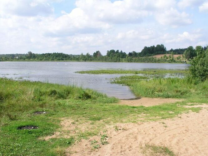 Maakond: Valgamaa Veekogu nimi: Rautina järv Pildistamise aeg: august 2006 Pildistaja: H. Timm Pildistamise koht: teadmata Asimuut: