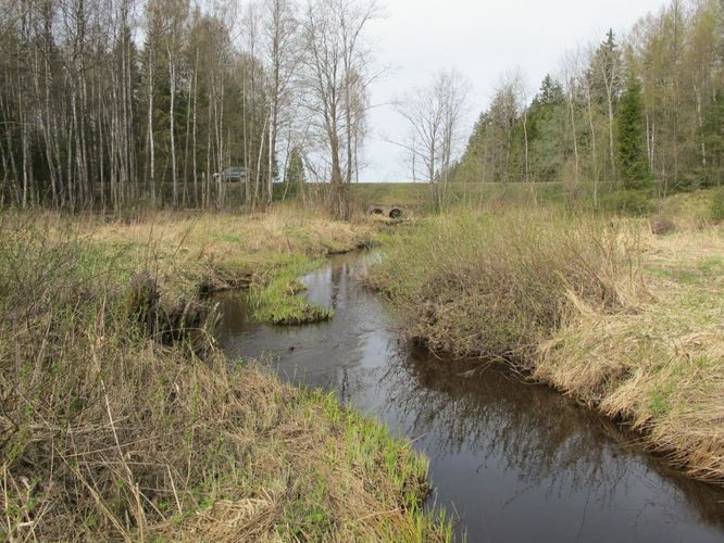 Maakond: Valgamaa Veekogu nimi: Rautina oja Pildistamise aeg: 29. aprill 2012 Pildistaja: H. Timm Pildistamise koht: alamjooks Asimuut: