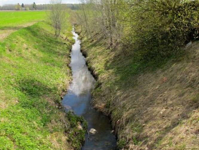 Maakond: Tartumaa Veekogu nimi: Rõikoja Pildistamise aeg: 1. mai 2011 Pildistaja: H. Timm Pildistamise koht: Kulli Asimuut: