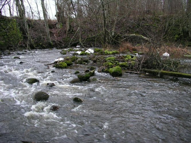 Maakond: Tartumaa Veekogu nimi: Rõngu jõgi Pildistamise aeg: 7. jaanuar 2007 Pildistaja: H. Timm Pildistamise koht: Lõve pais Asimuut: