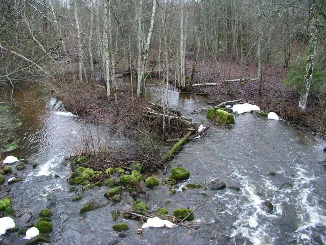 Maakond: Tartumaa Veekogu nimi: Rõngu jõgi Pildistamise aeg: 7. jaanuar 2007 Pildistaja: H. Timm Pildistamise koht: Lõve pais Asimuut: