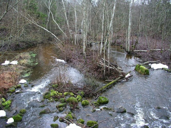 Maakond: Tartumaa Veekogu nimi: Rõngu jõgi Pildistamise aeg: 7. jaanuar 2007 Pildistaja: H. Timm Pildistamise koht: Lõve pais Asimuut: