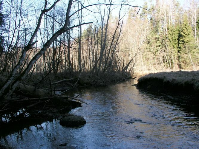 Maakond: Tartumaa Veekogu nimi: Rõngu jõgi Pildistamise aeg: 14. aprill 2007 Pildistaja: H. Timm Pildistamise koht: Kõrgemäe Asimuut: