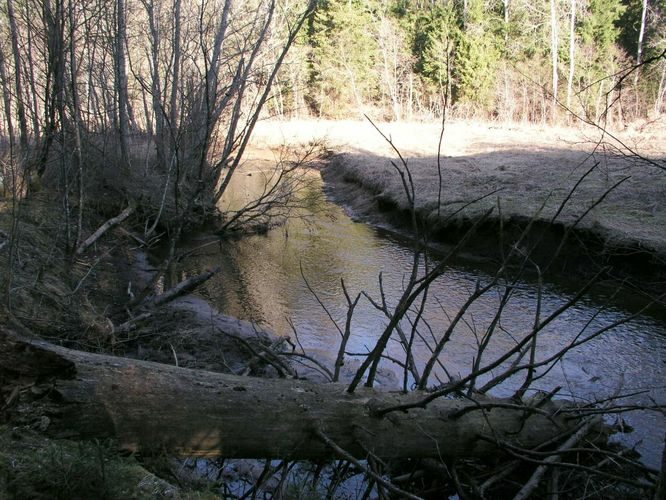 Maakond: Tartumaa Veekogu nimi: Rõngu jõgi Pildistamise aeg: 14. aprill 2007 Pildistaja: H. Timm Pildistamise koht: Kõrgemäe Asimuut: