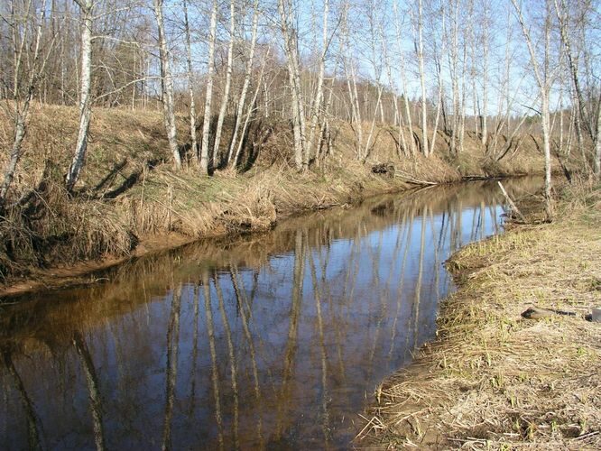 Maakond: Tartumaa Veekogu nimi: Rõngu jõgi Pildistamise aeg: 14. aprill 2007 Pildistaja: H. Timm Pildistamise koht: Sangla tee Asimuut: