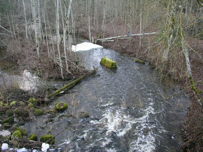 Maakond: Tartumaa Veekogu nimi: Rõngu jõgi Pildistamise aeg: 9. detsember 2007 Pildistaja: H. Timm Pildistamise koht: Lõve pais Asimuut: